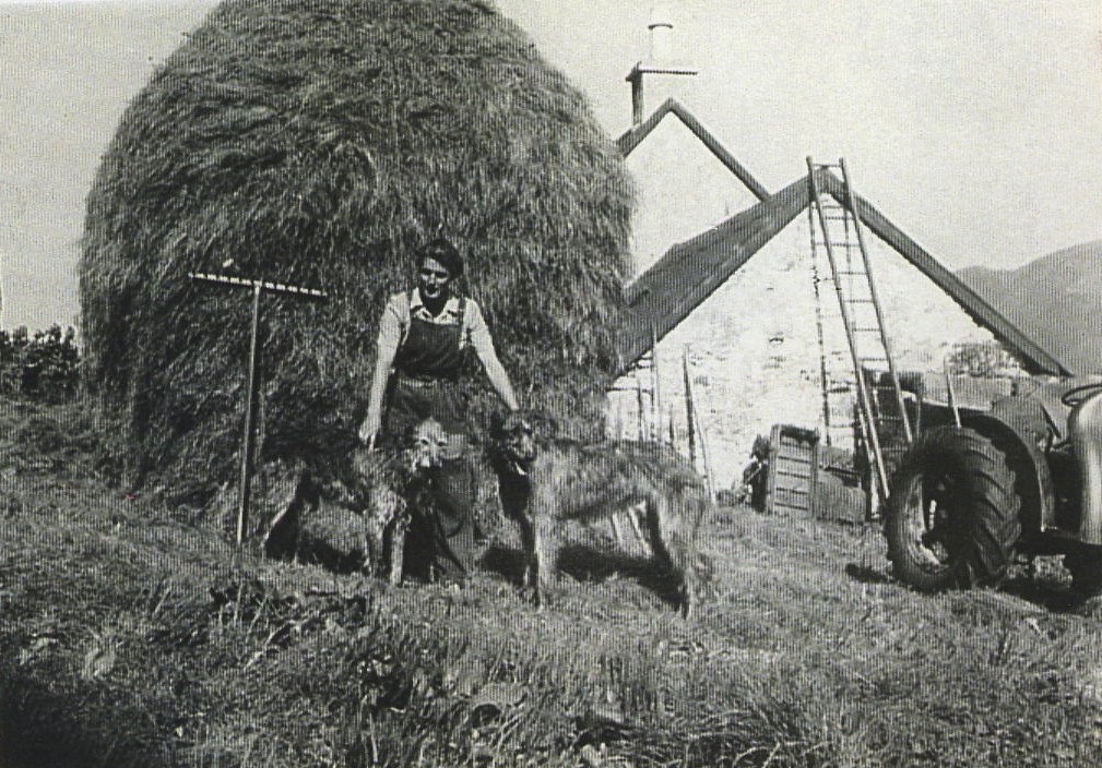 Anastasia Noble making hay