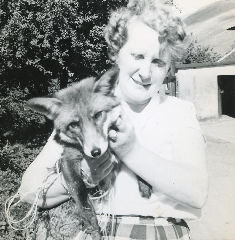 Betty Manson with Susie the fox