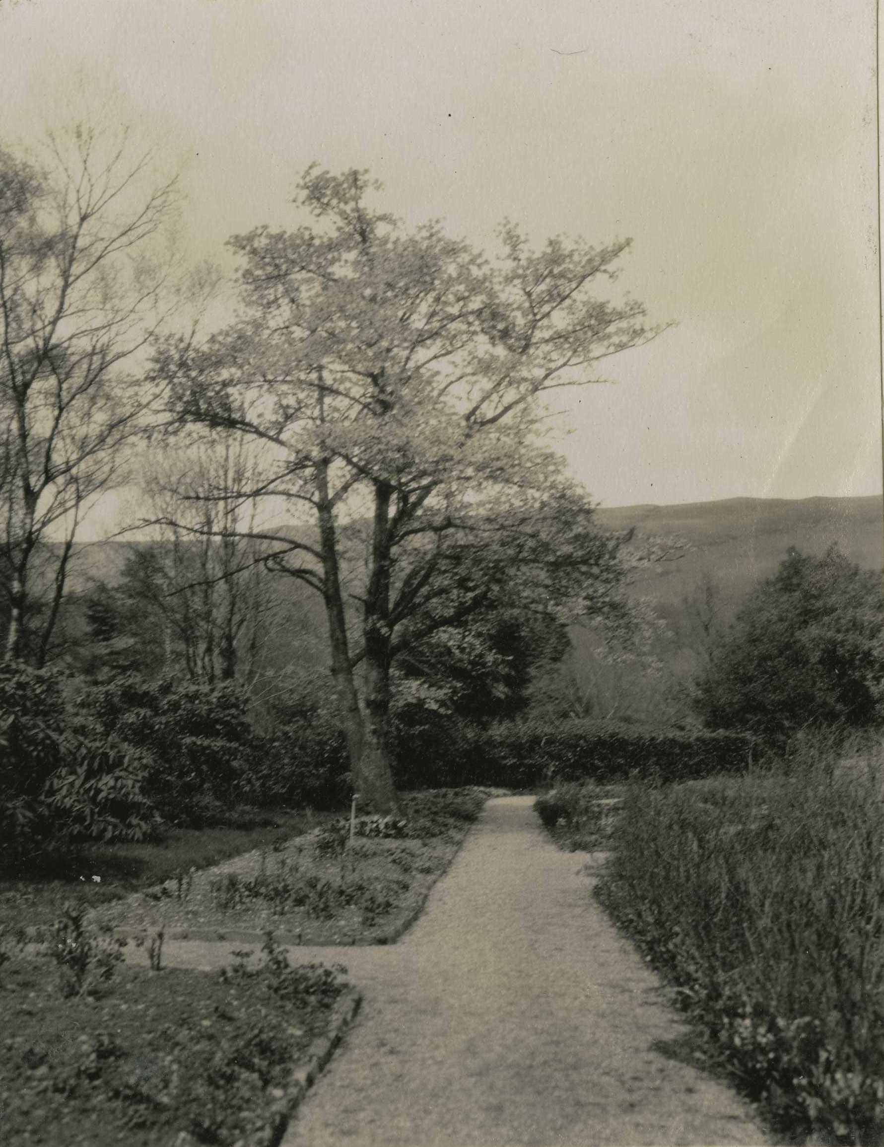 Ladies Garden, Ardkinglas