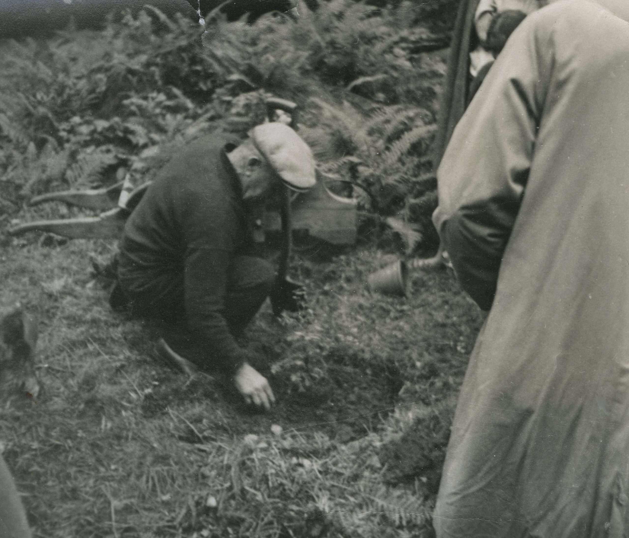  Nicol Luke planting rare tree Pinetum Ardkinglas