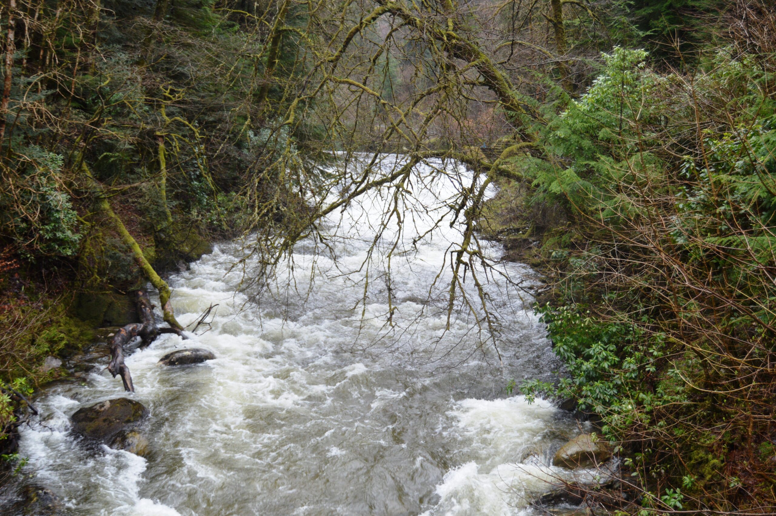 Ardkinglas Dam