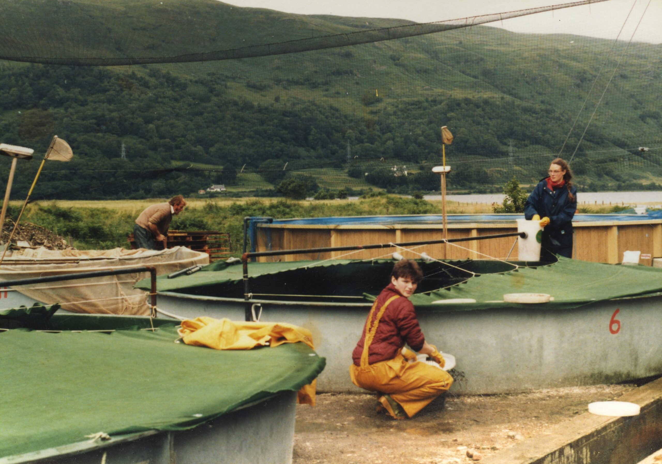 Ernie MacPherson And Dot Chalmers, Hatchery