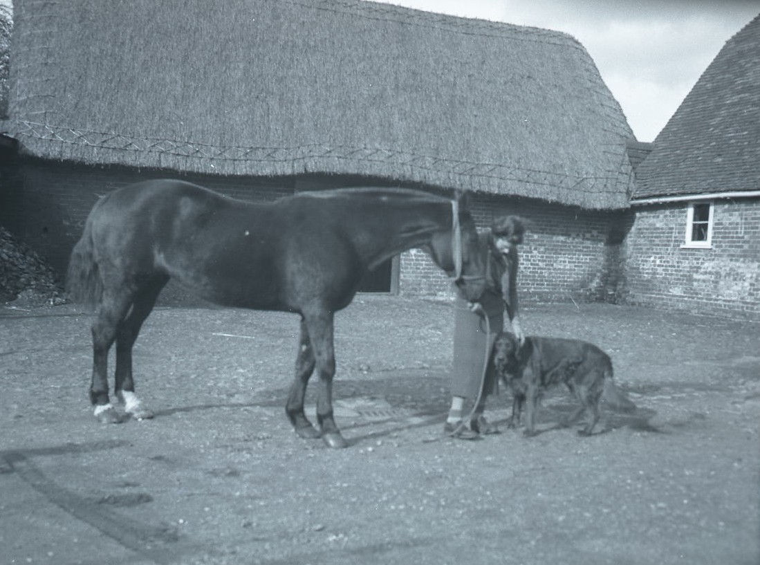 Elizabeth Noble with her horse and dog