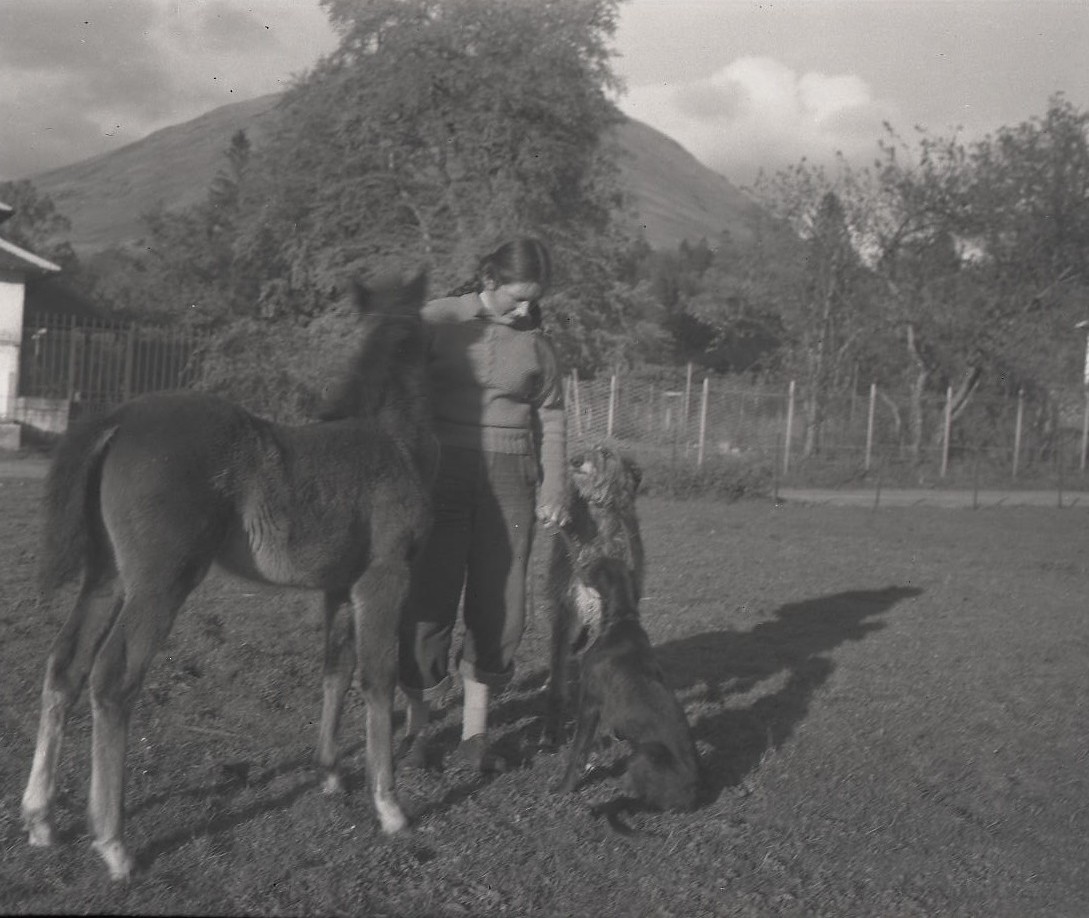 Christina Noble with foal and deerhounds
