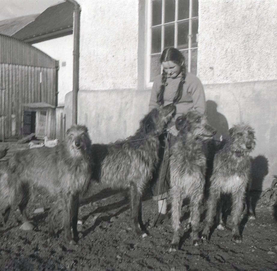 Christina Noble with deerhounds