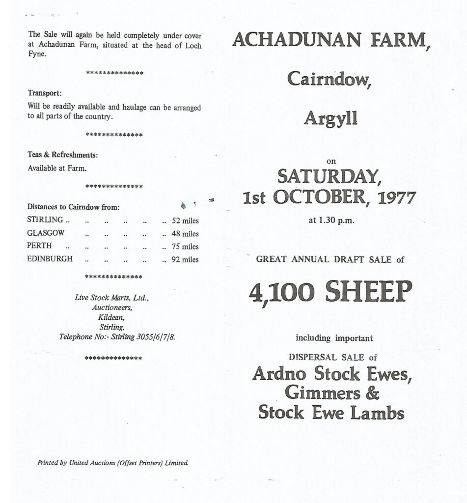 Shepherding on Ardkinglas Estate - Achadunan - Sheep sale